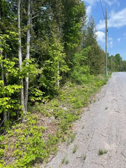 0 North School Road, Havelock-Belmont-Methuen, ON K0L 2H0