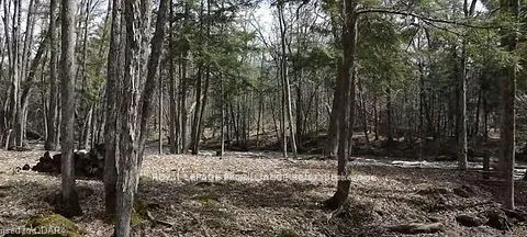 LOT 4 FUTURE Lane, Stirling-Rawdon, ON K0K 2M0