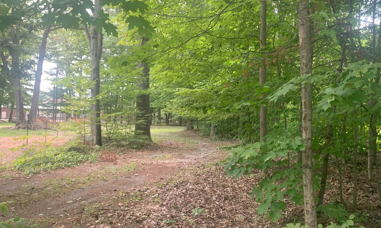 141 Oakwood Dr, Gravenhurst, ON P1P 1B3