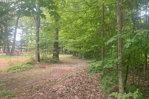 141 Oakwood Dr, Gravenhurst, ON P1P 1B3