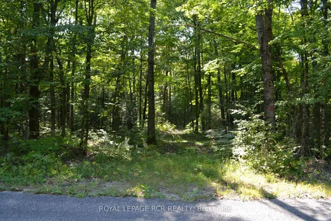 Lot 35 Glamor Lake Rd, Highlands East, ON K0M 1R0