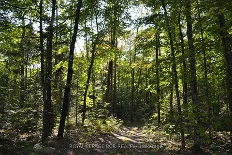 Lot 35 Glamor Lake Rd, Highlands East, ON K0M 1R0