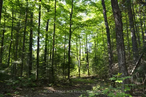 Lot 35 Glamor Lake Rd, Highlands East, ON K0M 1R0