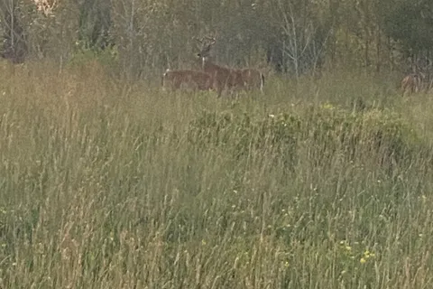 68 Deer Trail Dr, Dryden, ON P8N 2P6