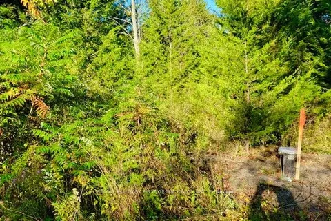 82 Conchie Rd, Tweed, ON K0K 3J0