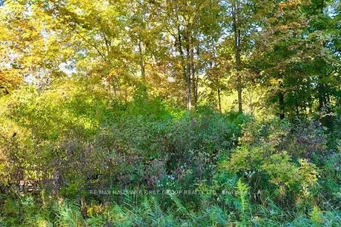 82 Conchie Rd, Tweed, ON K0K 3J0