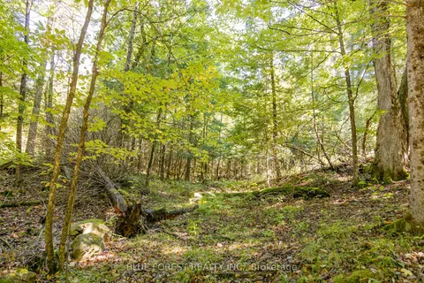 lot 69 25th Line, Algonquin Highlands, ON K0M 1J1