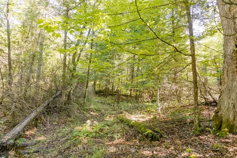 lot 69 25th Line, Algonquin Highlands, ON K0M 1J1