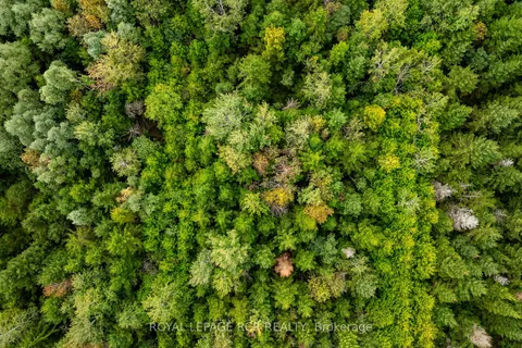 335093 7th Line, Amaranth, ON L9W 0L2