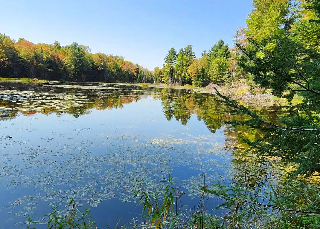 17887A Highway 62, Tudor & Cashel, ON K0K 1Y0