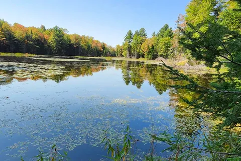 17887A Highway 62, Tudor & Cashel, ON K0K 1Y0