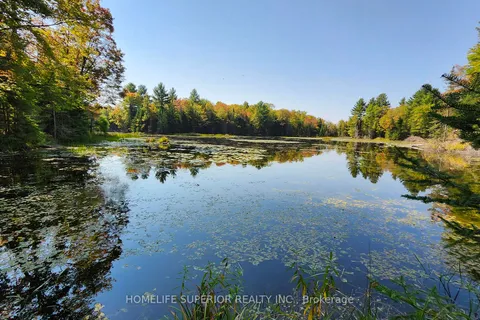 17887A Highway 62, Tudor & Cashel, ON K0K 1Y0