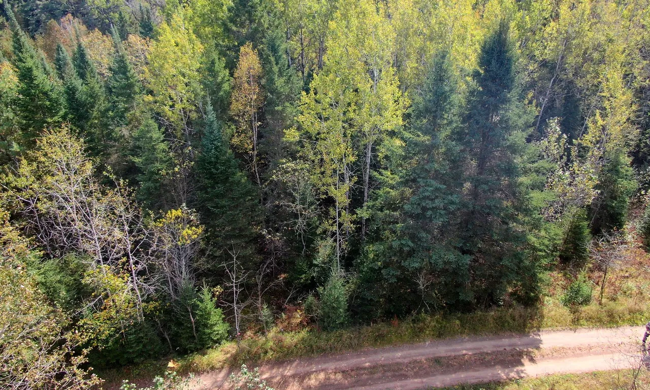 0 Egan Crt, Bancroft, ON K0L 1C0