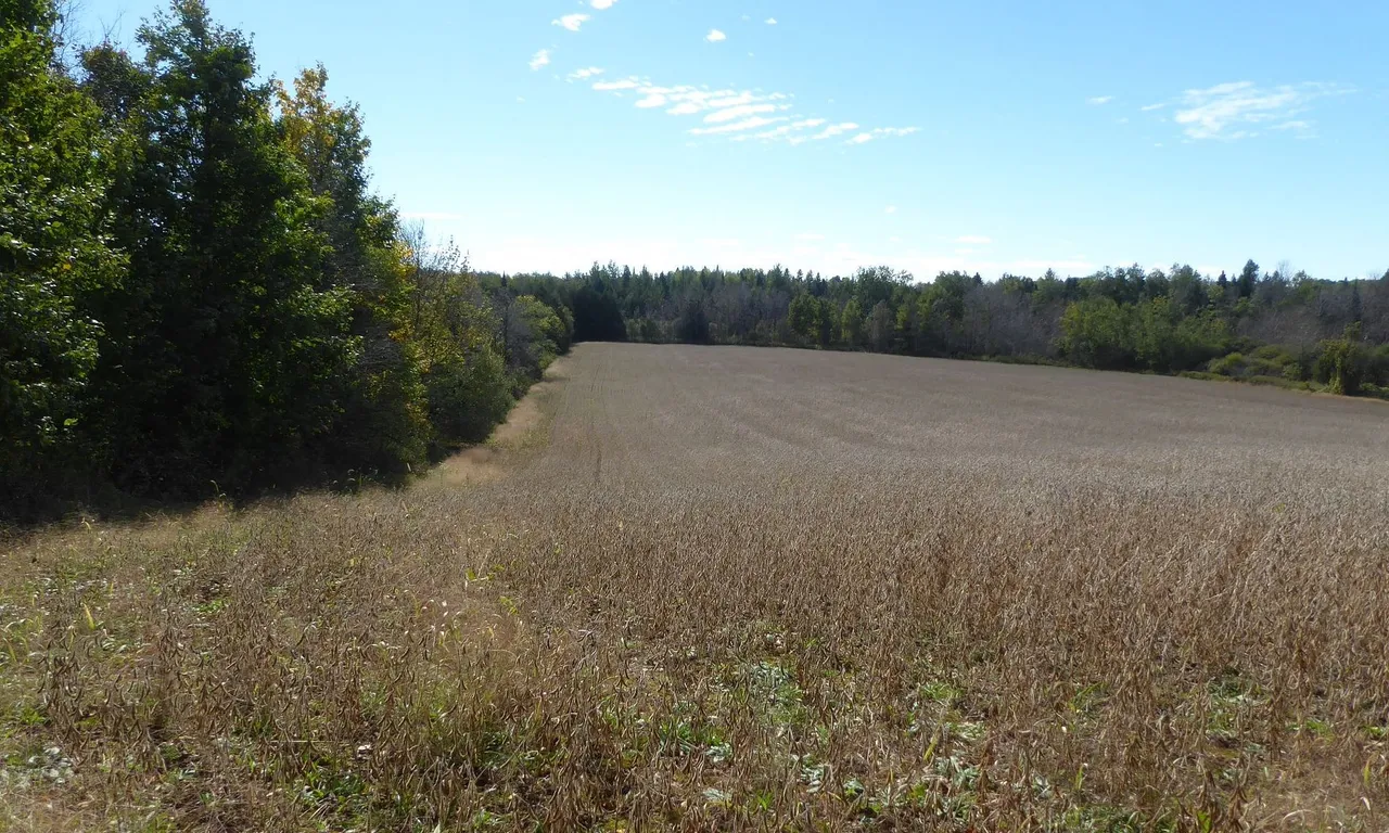 00 Third Line, Erin, ON L7J 2L8