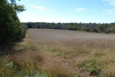 00 Third Line, Erin, ON L7J 2L8