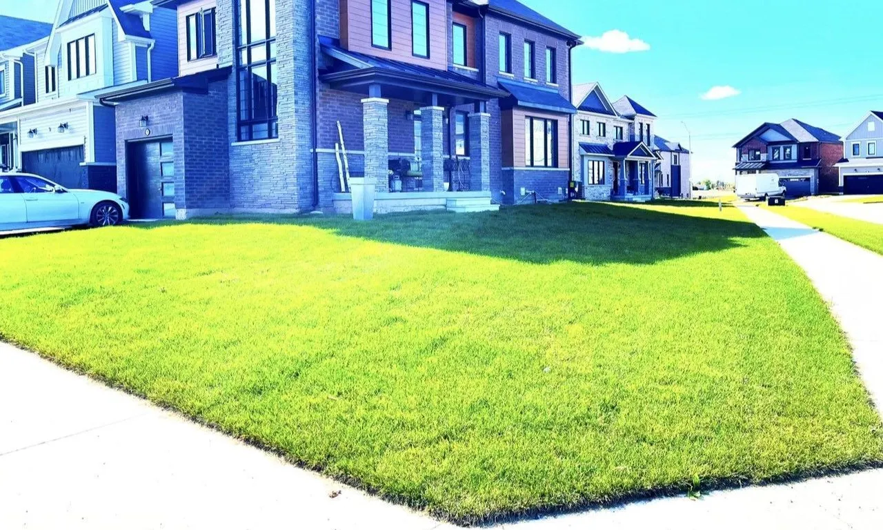 1 Buttercream Ave, Thorold, ON L2V 0L3