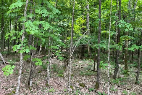 1350 Haliburton Lake Rd, Dysart et al, ON K0M 1S0