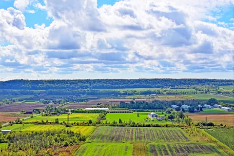 9 CON 2 John Street, Lincoln, ON L0R 1B1