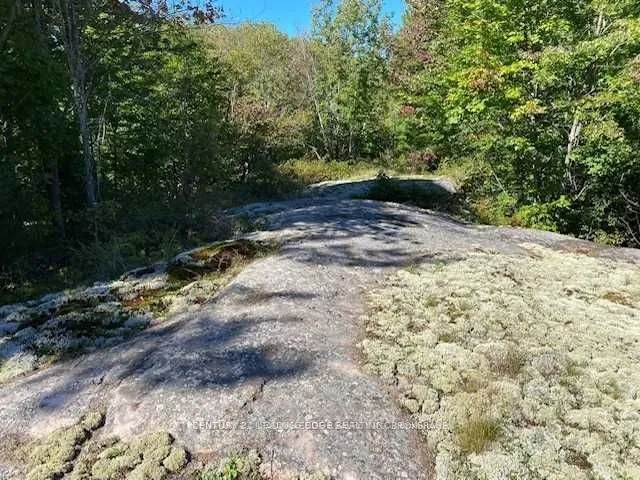 Lot 9 Unopened Rd Allowance, Gravenhurst, ON P1P 1R3