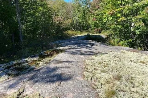 Lot 9 Unopened Rd Allowance, Gravenhurst, ON P1P 1R3