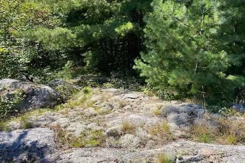 Lot 9 Unopened Rd Allowance, Gravenhurst, ON P1P 1R3