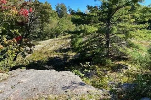 Lot 9 Unopened Rd Allowance, Gravenhurst, ON P1P 1R3