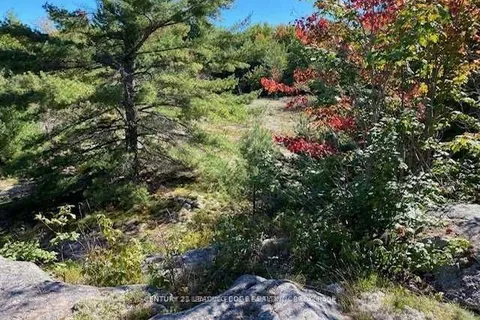 Lot 9 Unopened Rd Allowance, Gravenhurst, ON P1P 1R3