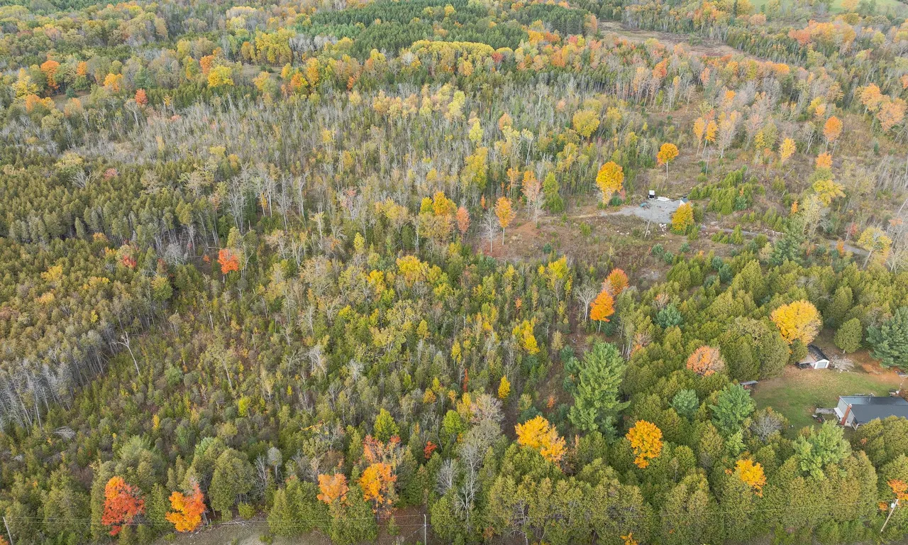 467 Slab St, Centre Hastings, ON K0K 2K0