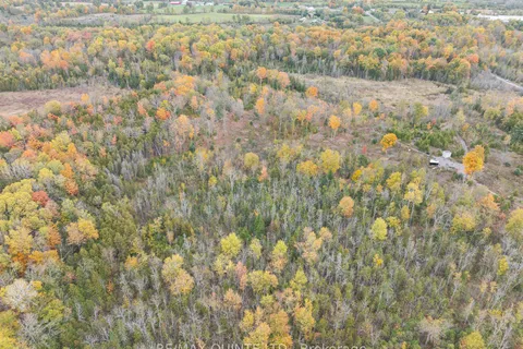 467 Slab St, Centre Hastings, ON K0K 2K0