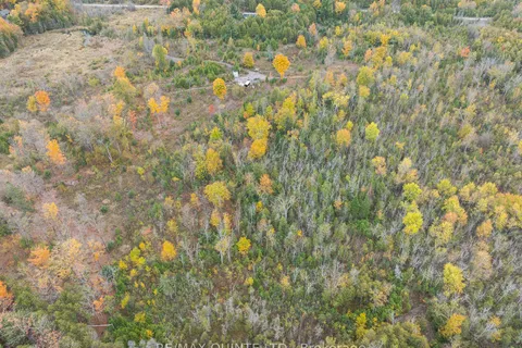 467 Slab St, Centre Hastings, ON K0K 2K0