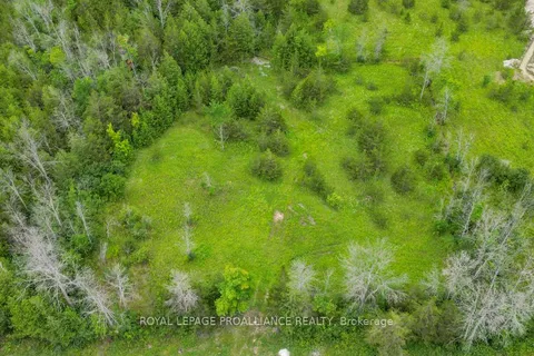 0 Weese Rd, Tyendinaga, ON K0K 3A0