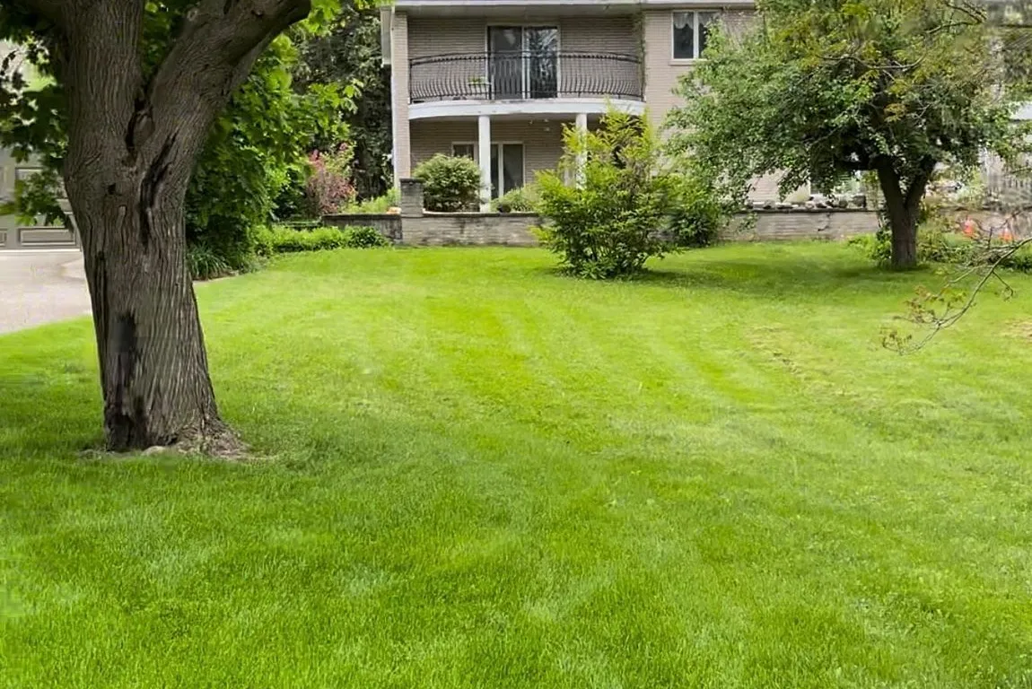 203 St Davids Rd, Thorold, ON L2V 4G2