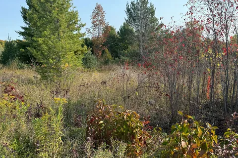 Part 27 Humphries Rd, Trent Hills, ON K0K 3K0