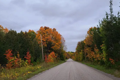 509,513 Sawmill Rd, Douro-Dummer, ON K0L 2H0