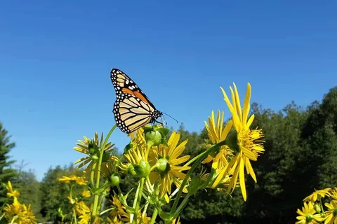 509,513 Sawmill Rd, Douro-Dummer, ON K0L 2H0