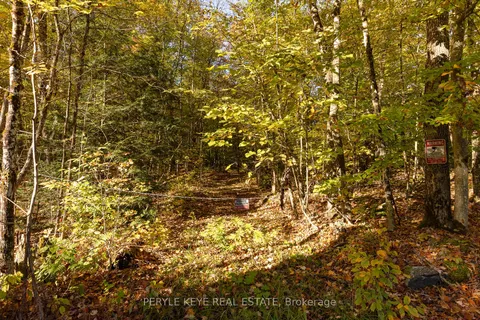 N/A South Menominee Lake Rd, Lake of Bays, ON P1H 2J3