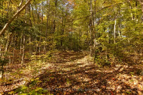 N/A South Menominee Lake Rd, Lake of Bays, ON P1H 2J3