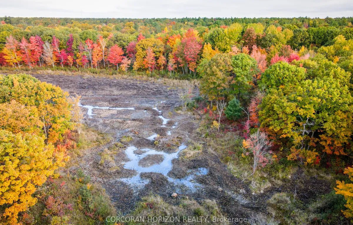87 Corrievale Rd, Georgian Bay, ON L0K 1S0