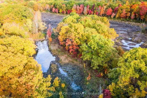 87 Corrievale Rd, Georgian Bay, ON L0K 1S0