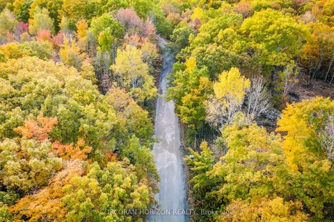 87 Corrievale Rd, Georgian Bay, ON L0K 1S0