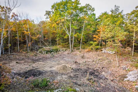 87 Corrievale Rd, Georgian Bay, ON L0K 1S0