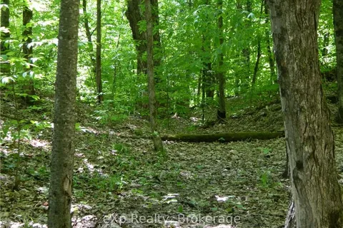 PTLT27 S LAVANT Rd, North Frontenac, ON K0H 2J0