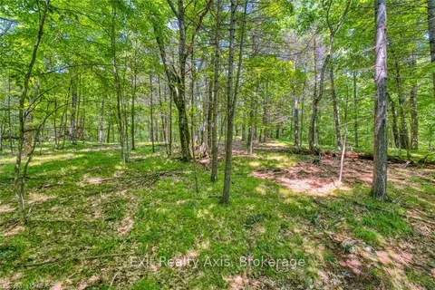 75 LASHA Lane, Rideau Lakes, ON K0G 1E0