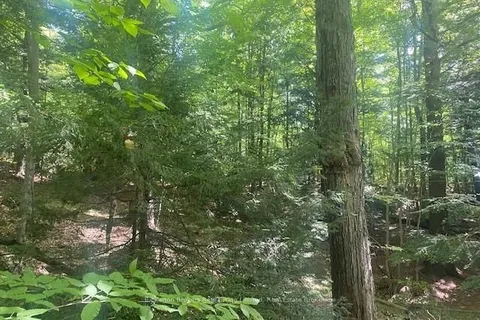 LOT JONES FALLS Rd, Rideau Lakes, ON K0G 1E0