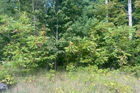 LOT JONES FALLS Rd, Rideau Lakes, ON K0G 1E0