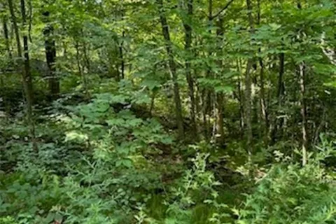 PT LT 2 MAPLE GROVE Cres, South Frontenac, ON K0H 1V0