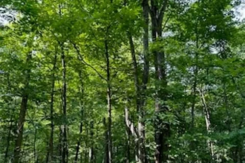 PT LT 2 MAPLE GROVE Cres, South Frontenac, ON K0H 1V0