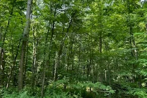 PT LT 2 MAPLE GROVE Cres, South Frontenac, ON K0H 1V0