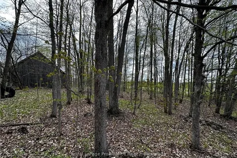 LOT 3 JAMIESON Rd, South Frontenac, ON K0H 1V0