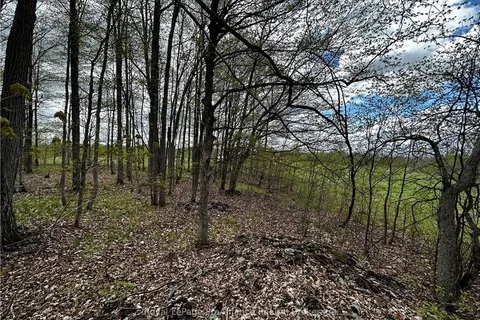 LOT 3 JAMIESON Rd, South Frontenac, ON K0H 1V0